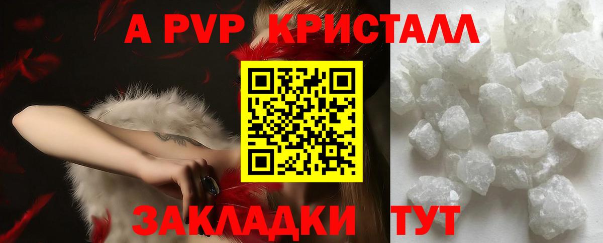 A PVP СК КРИС Вольск